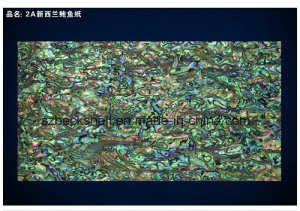 AA Grade New Zealand Abalone Shell Sheet/Shell Paper